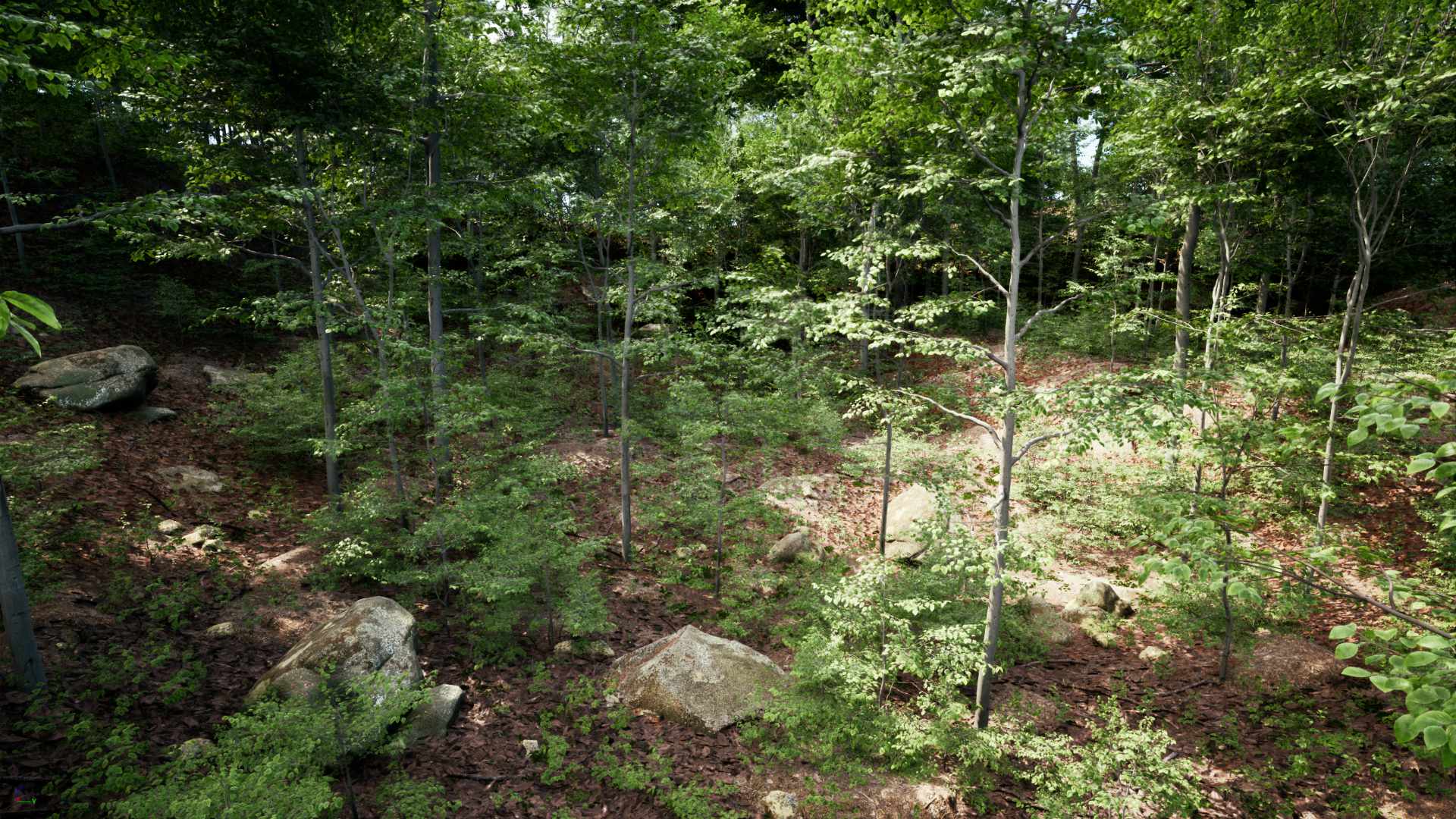 PCG Forest