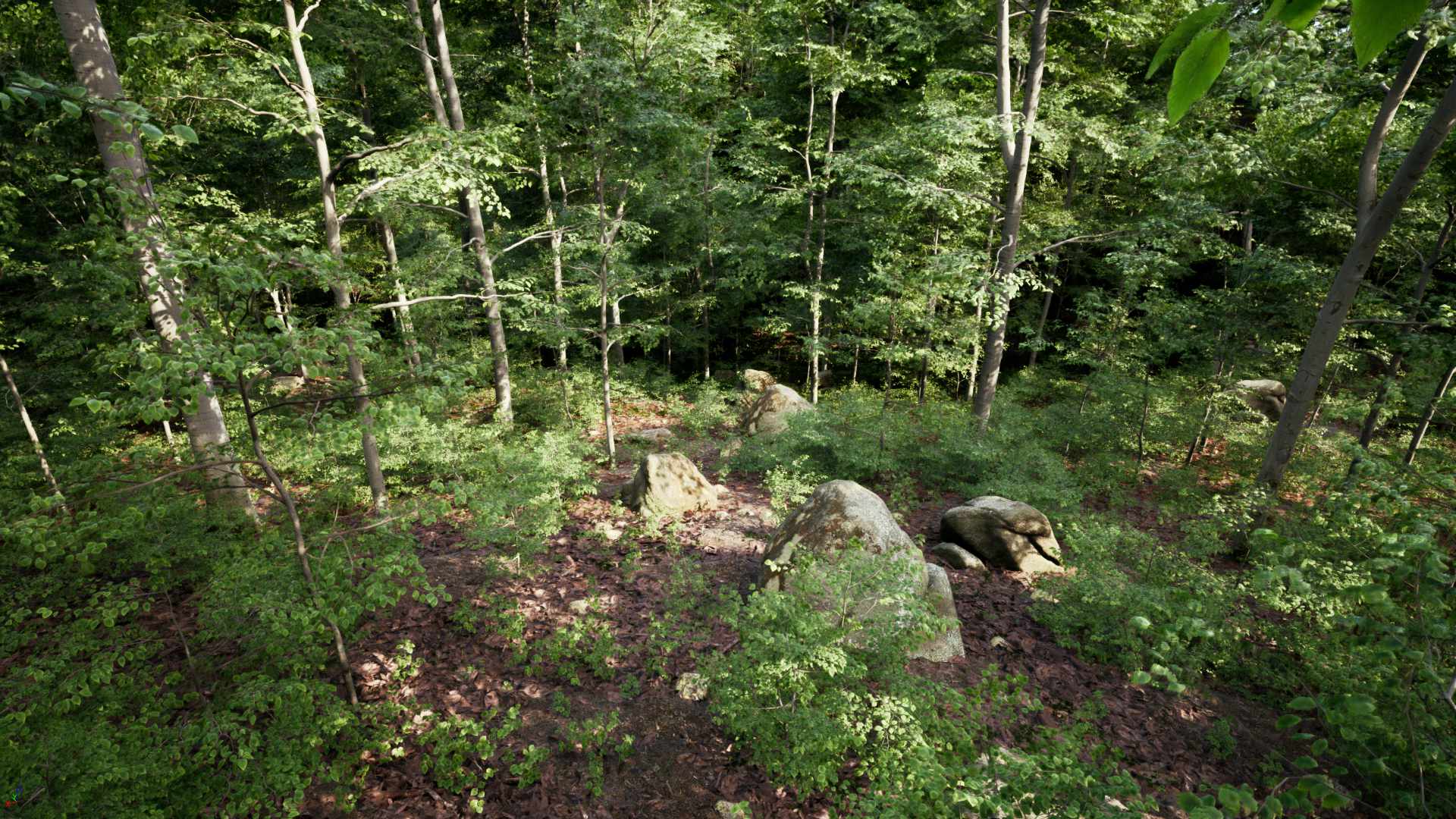 PCG Forest
