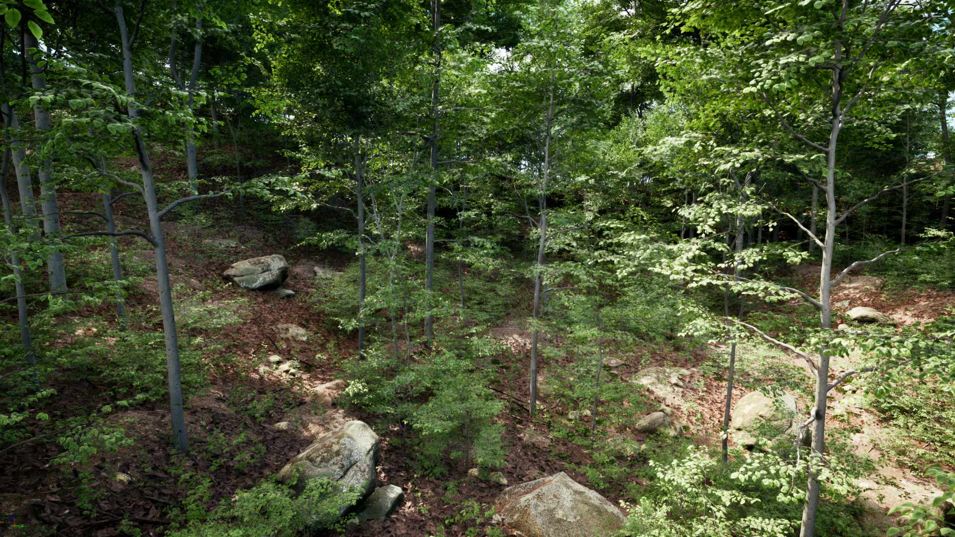 PCG Forest