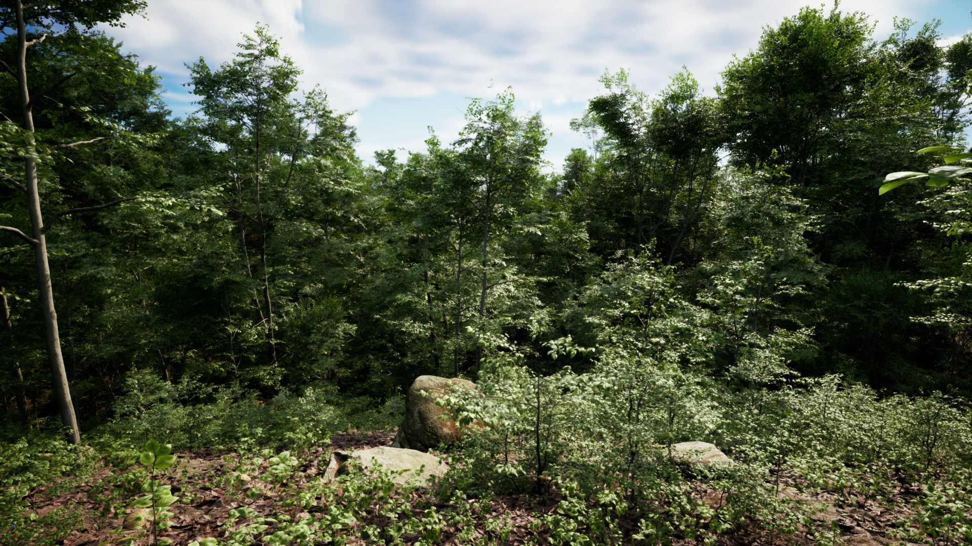 PCG Forest