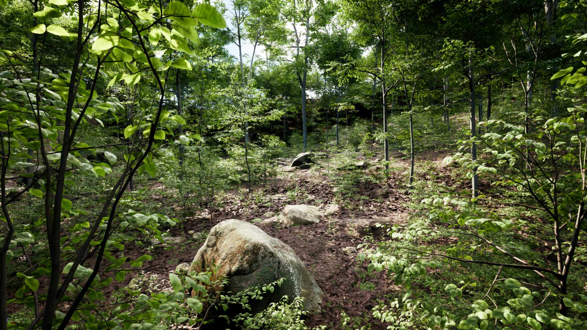 PCG Forest