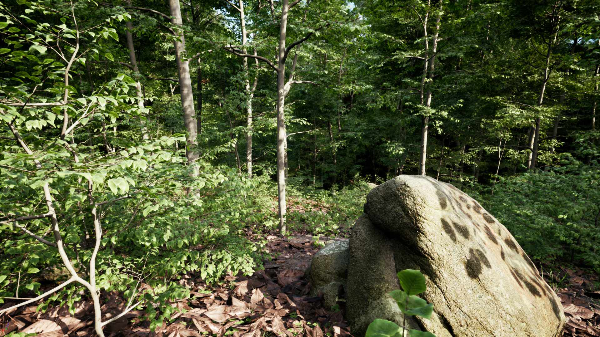 PCG Forest