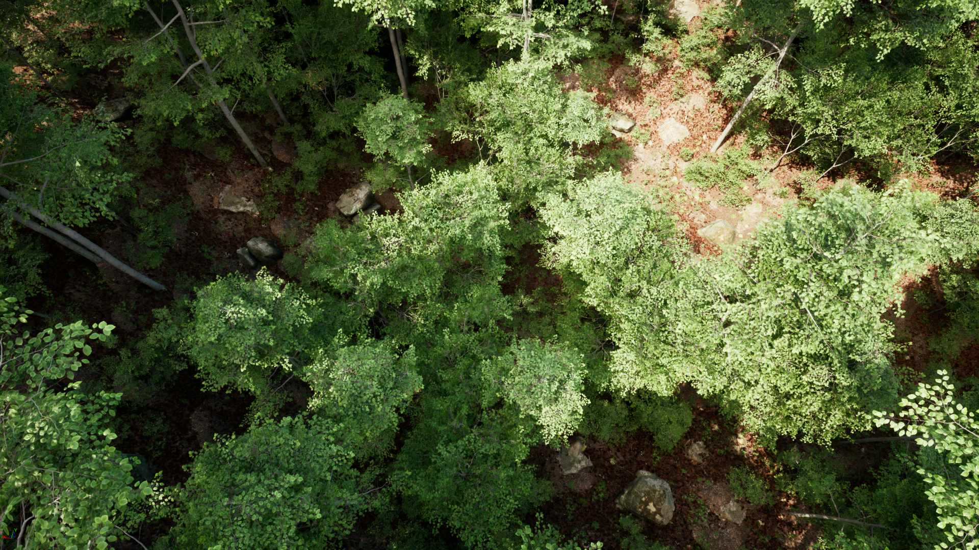 PCG Forest