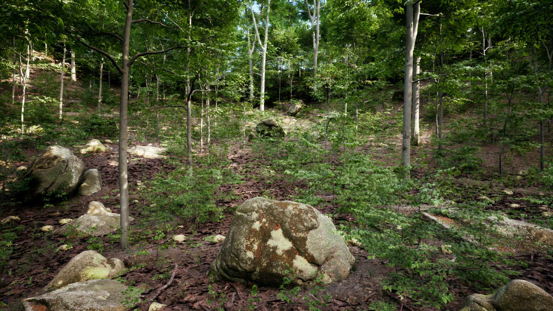 PCG Forest