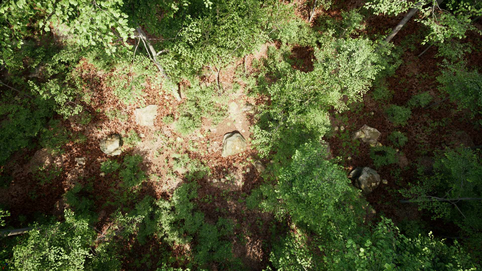 PCG Forest