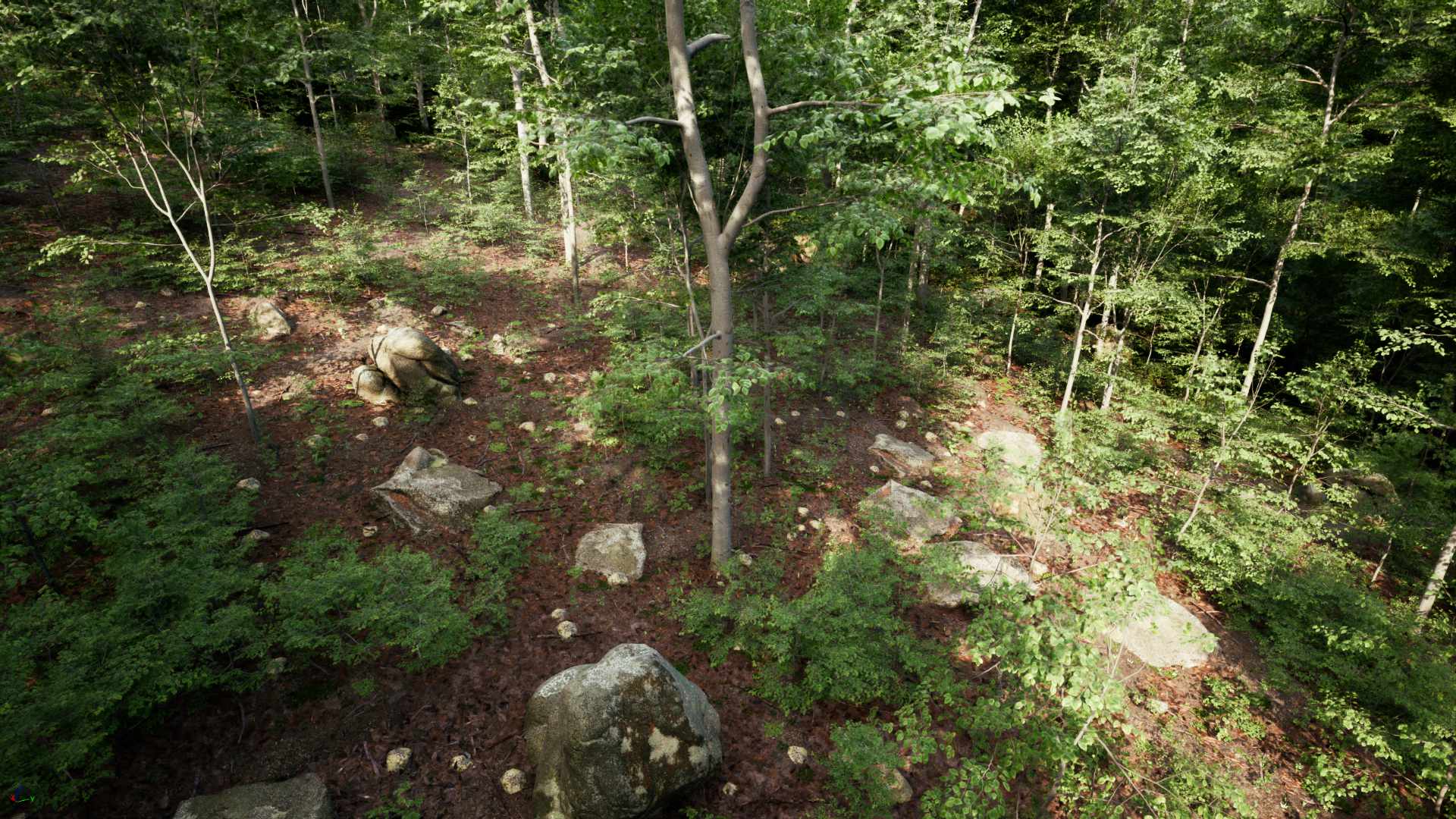 PCG Forest
