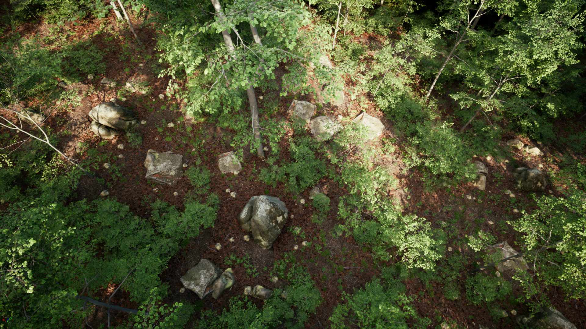 PCG Forest