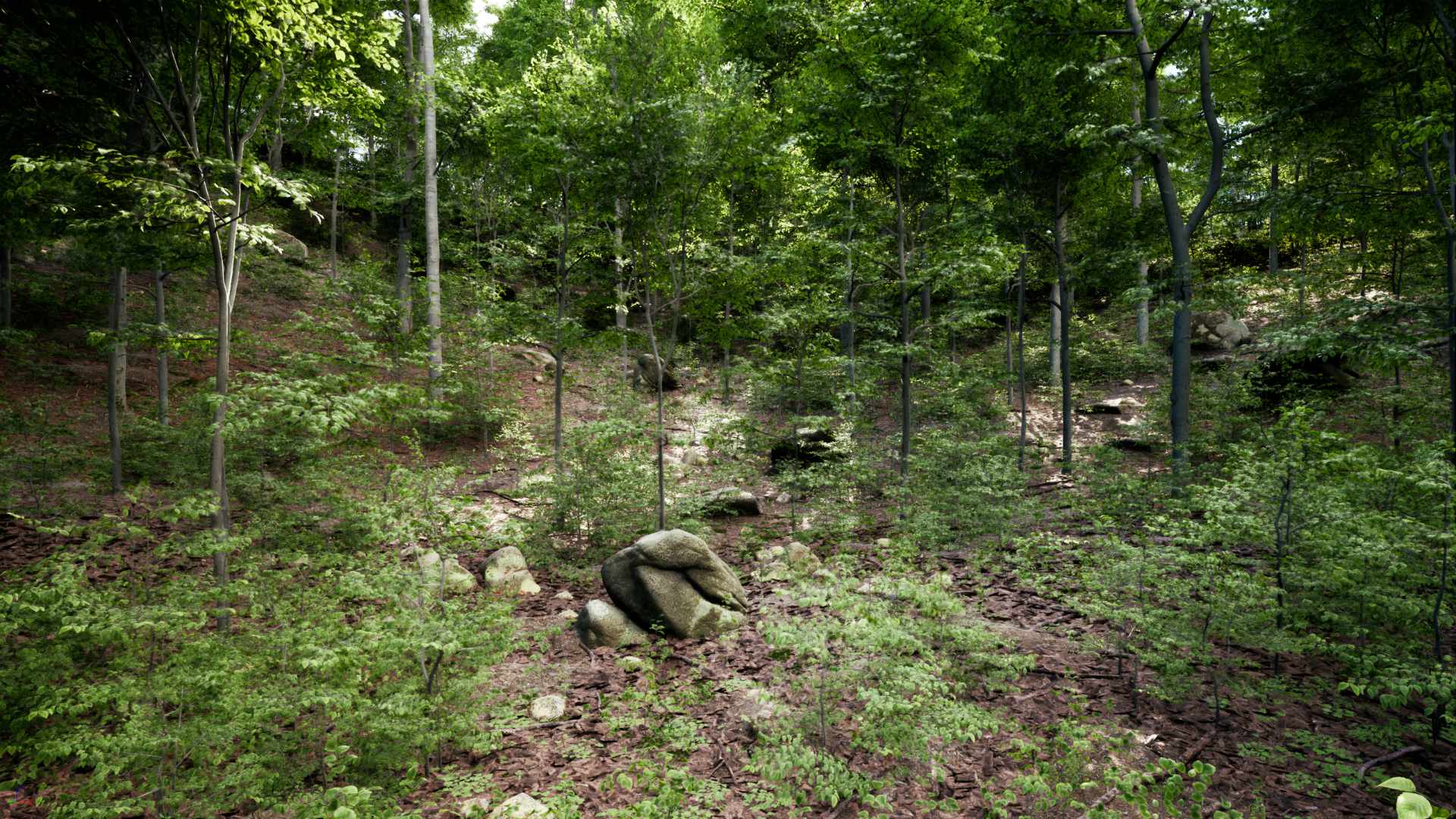 PCG Forest