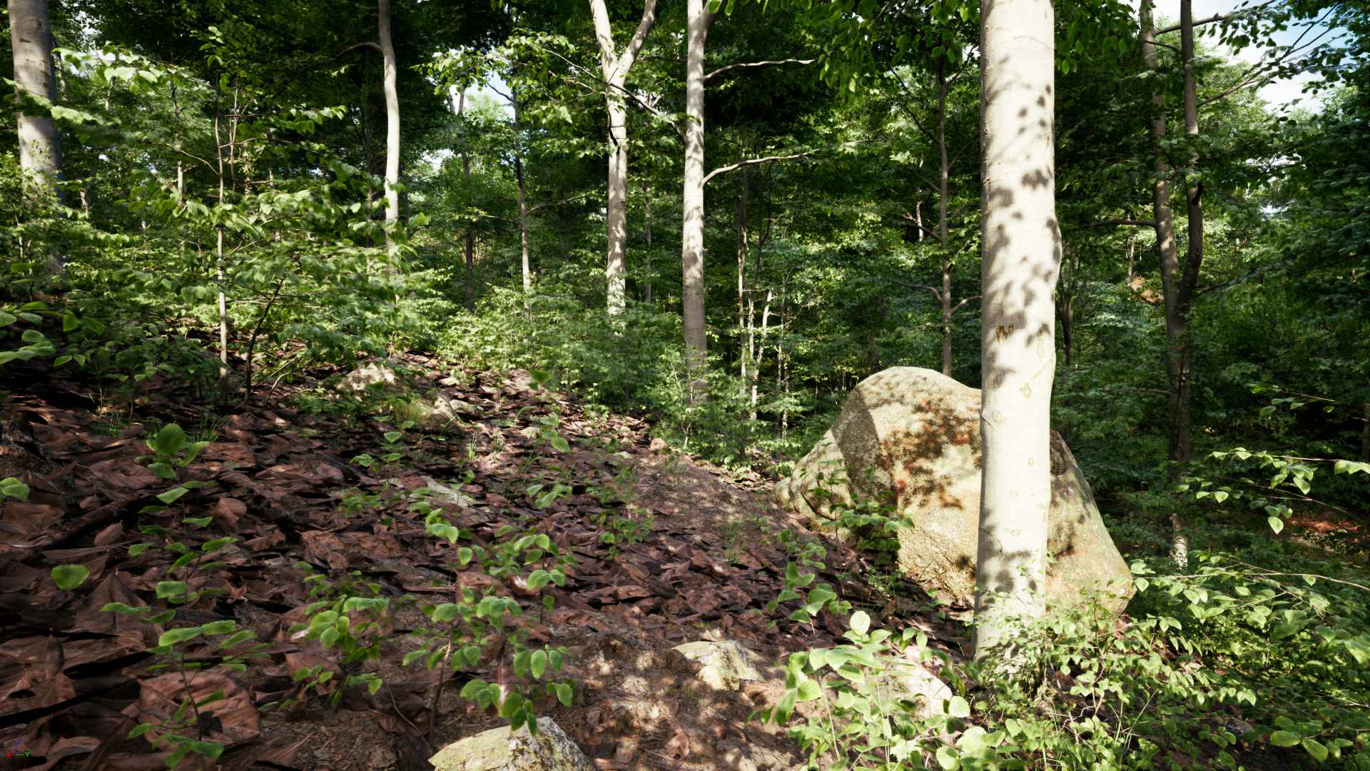 PCG Forest