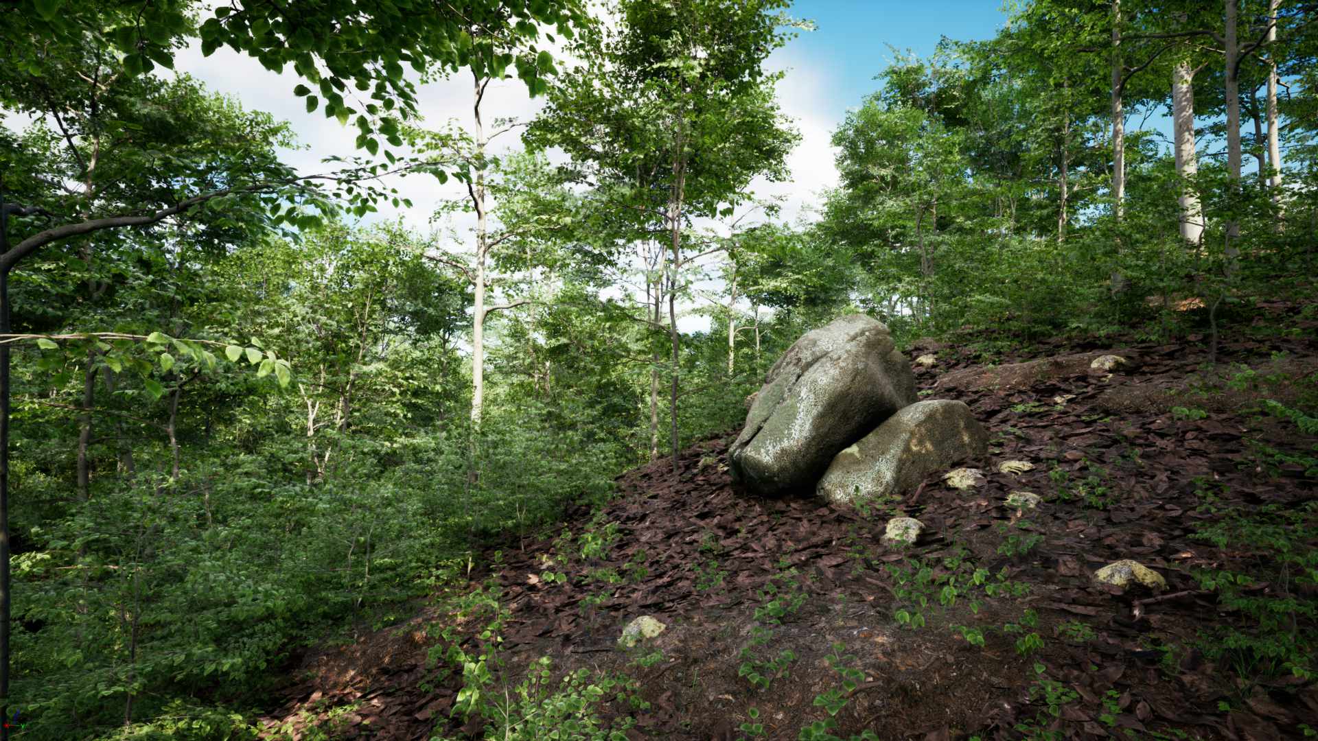 PCG Forest