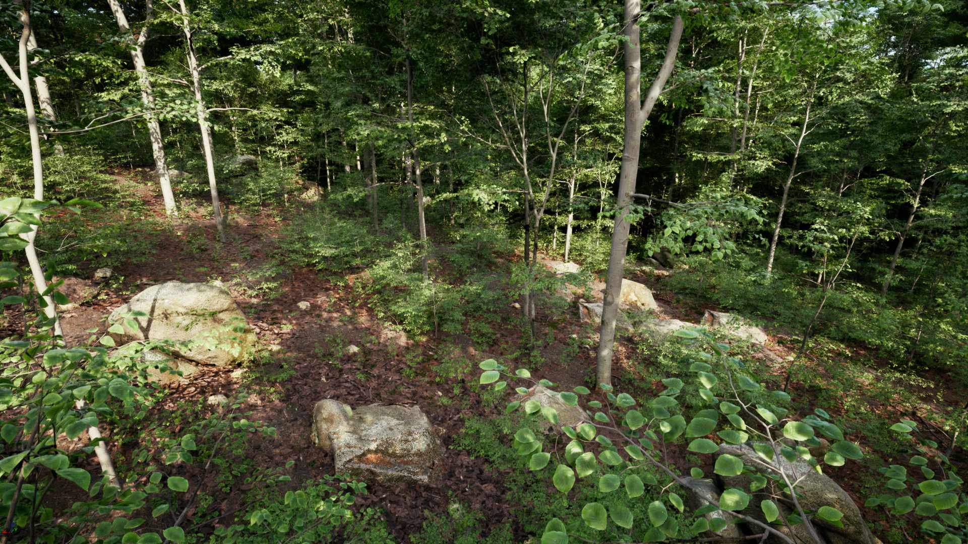 PCG Forest