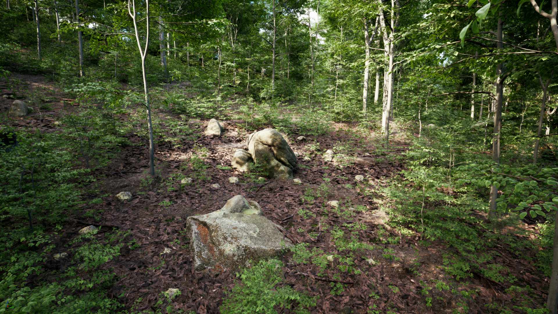 PCG Forest