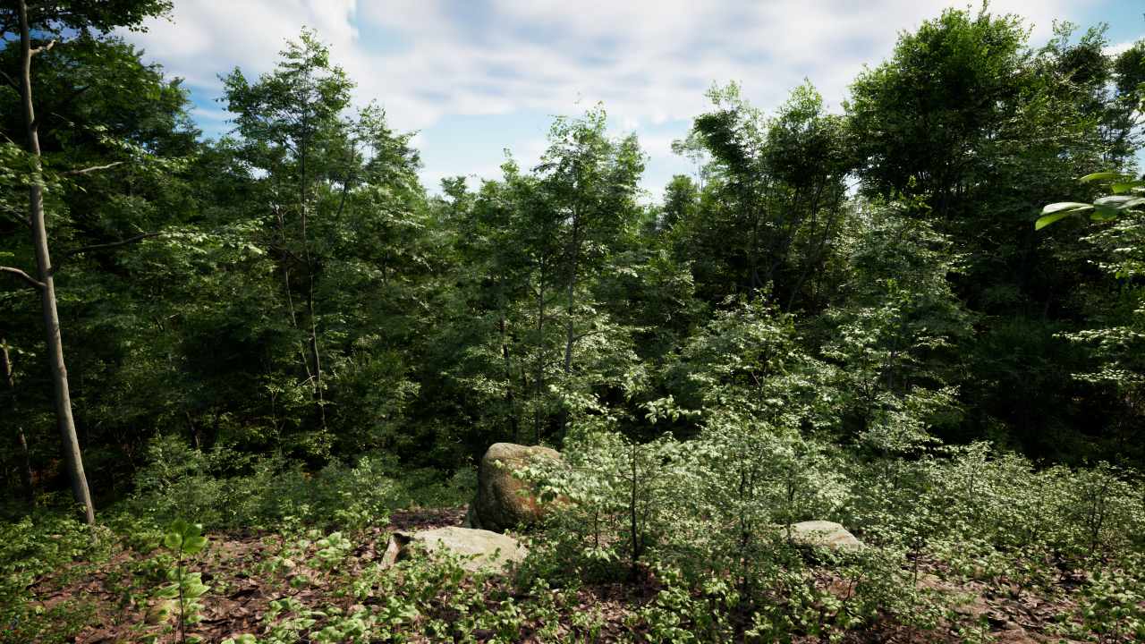 Project PCG Forest